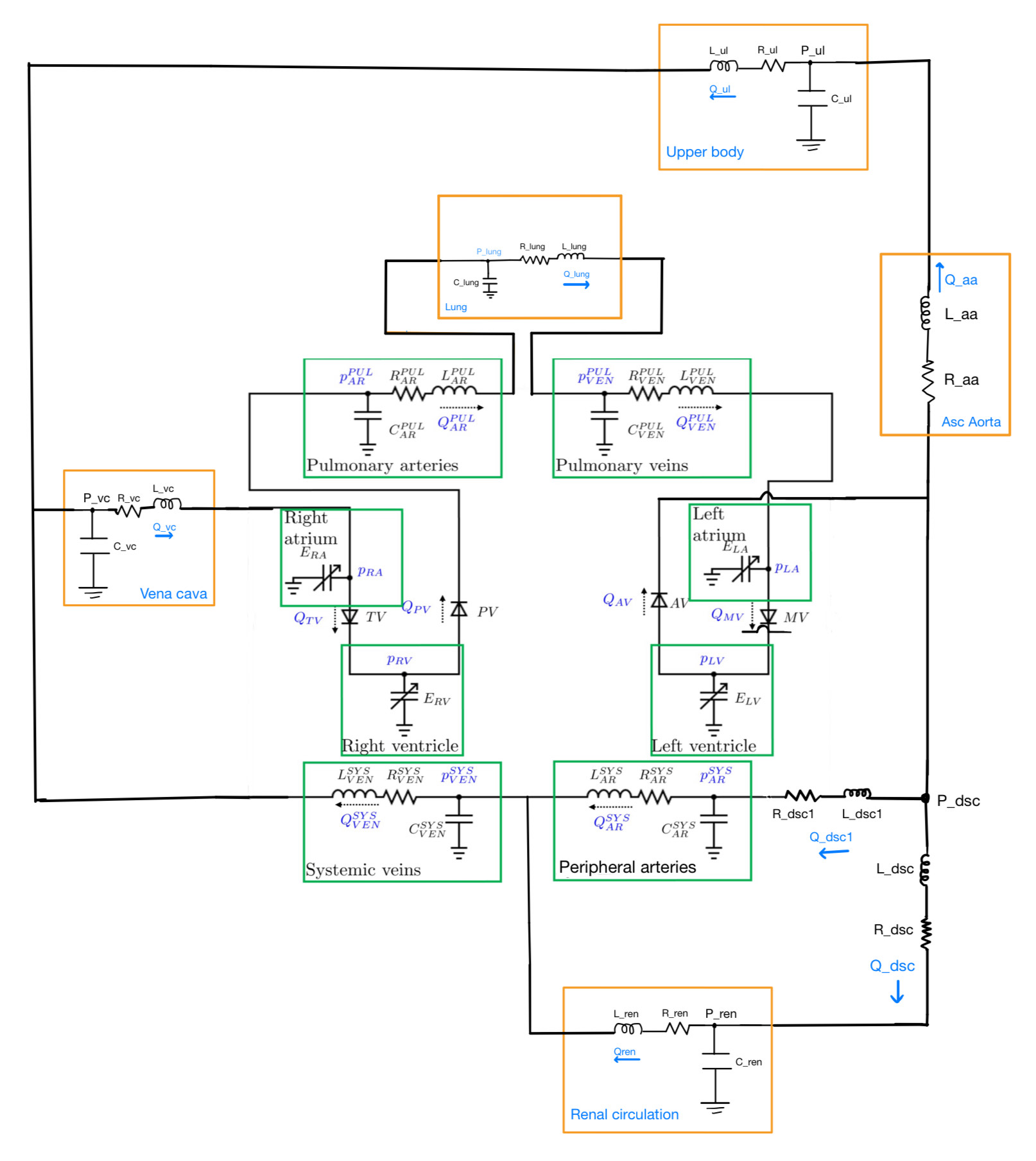 Lumped parameter cardiovascular system